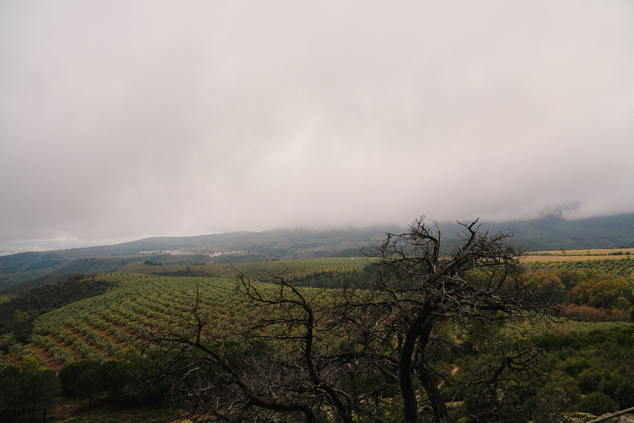 Plano general del municipio de Fuencaliente, Ciudad Real. Fotografiado por Ikonox Marketing Digital.