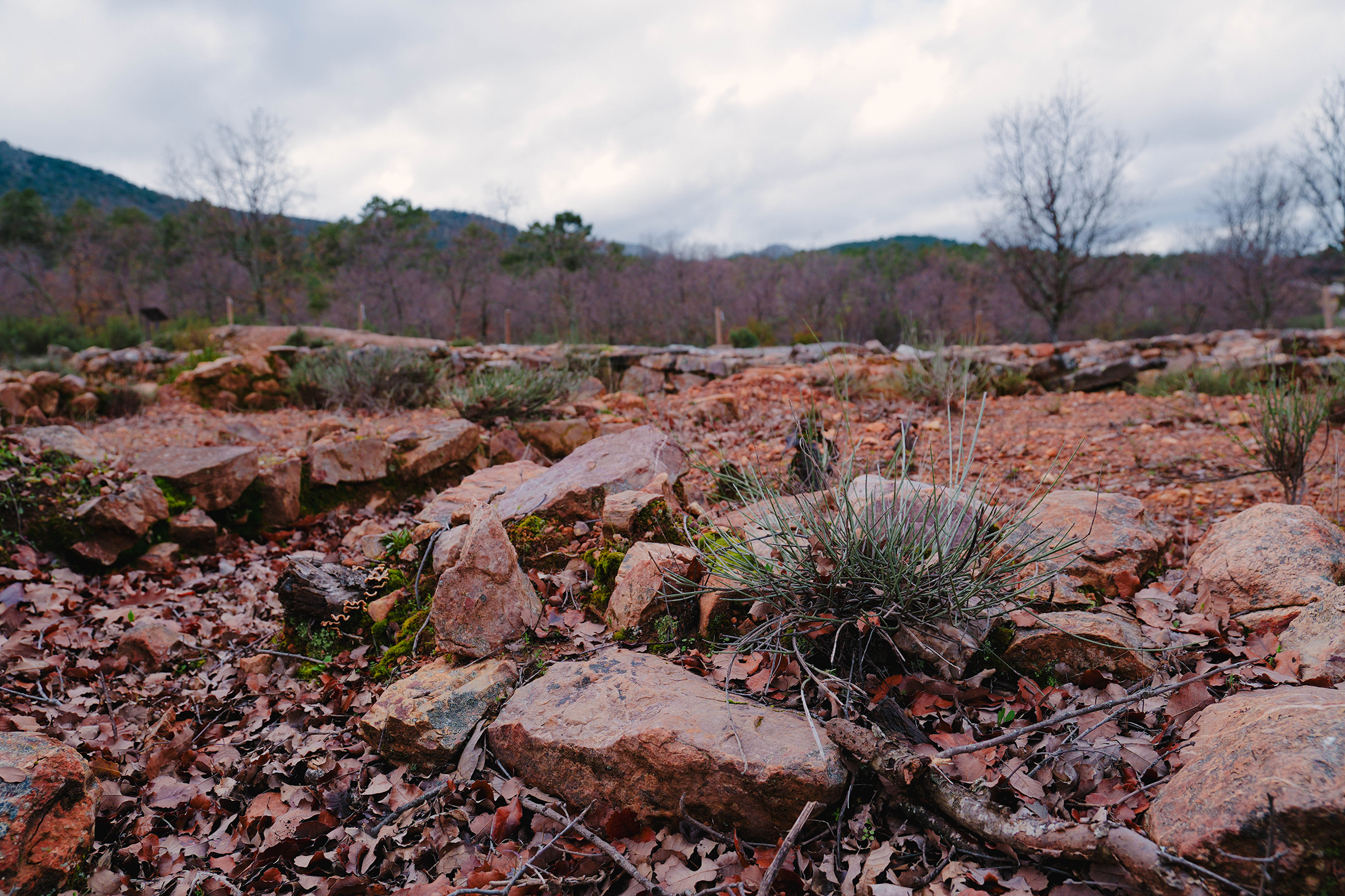 Yacimientos del poblado romano de Fuencaliente – Fotografía realizada por Ikonox Marketing Digital