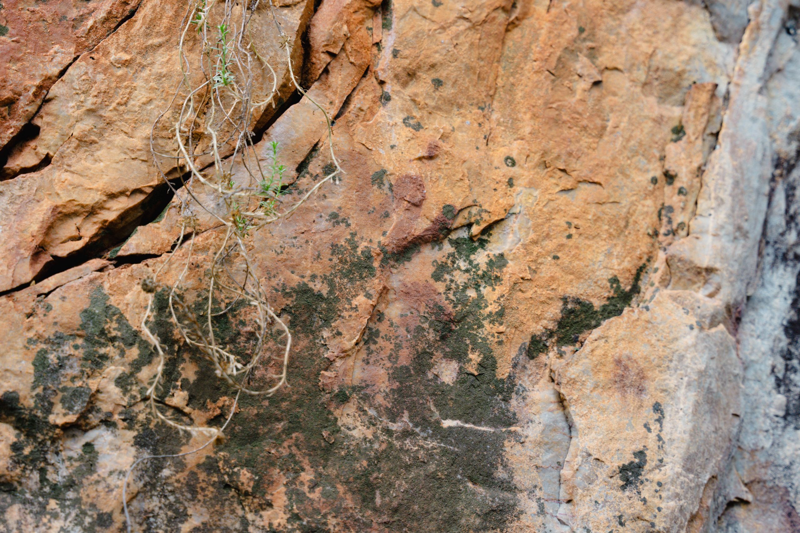 Fotografía de los Yacimientos de La Batanera, Fuencaliente, Ciudad Real, capturada por Ikonox Marketing Digital, mostrando los restos arqueológicos y el entorno natural.