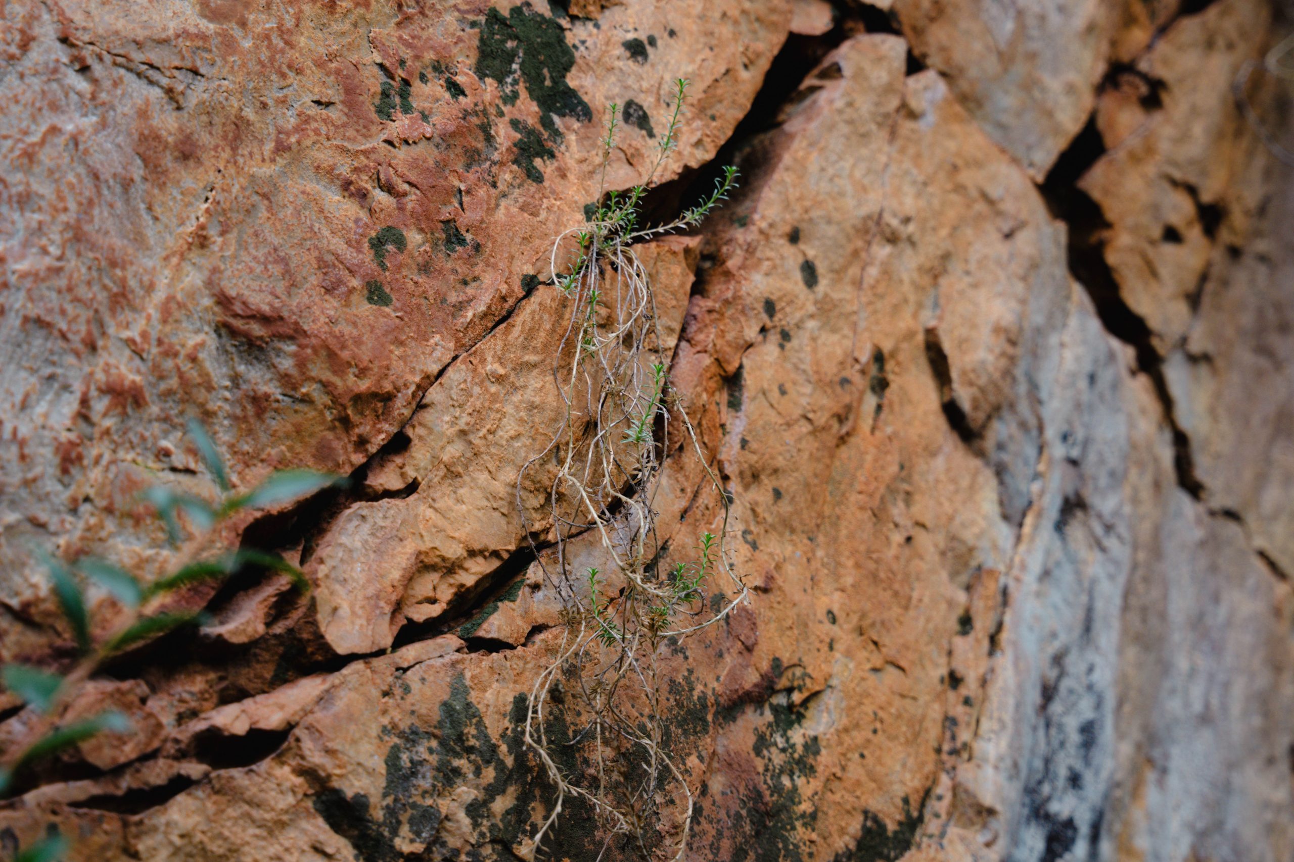 Fotografía de los Yacimientos de La Batanera, Fuencaliente, Ciudad Real, capturada por Ikonox Marketing Digital, mostrando los restos arqueológicos y el entorno natural.