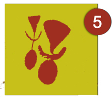 Calco de las pinturas rupestres de la Cueva de Las Sierpes, Fuencaliente, realizado por Ikonox Marketing Digital.