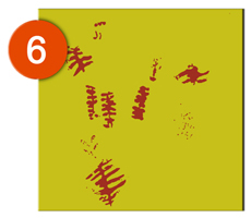 Calco de las pinturas rupestres de Solana del Navajo, Fuencaliente, realizado por Ikonox Marketing Digital.