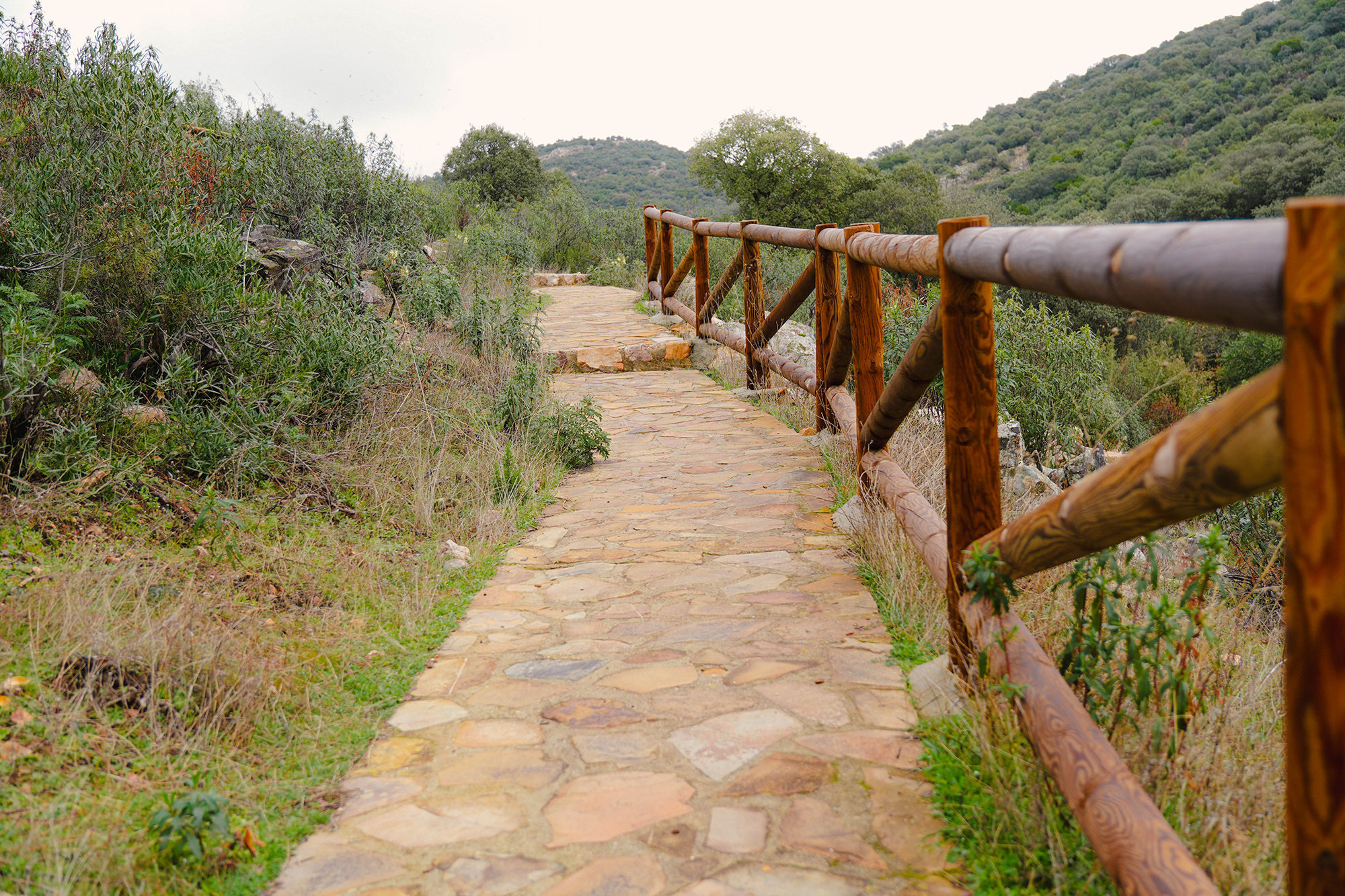 Fotografía de los Yacimientos de La Batanera, Fuencaliente, Ciudad Real, tomada por Ikonox Marketing Digital.