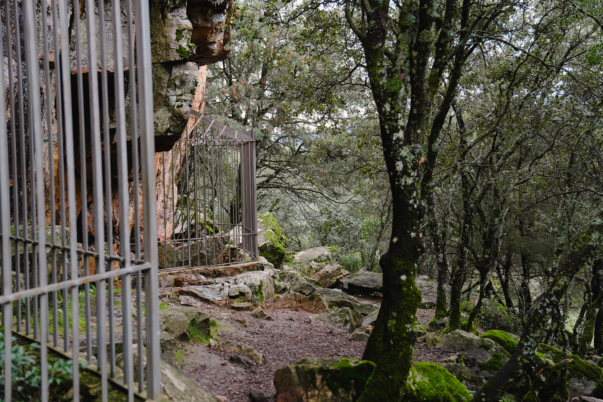 Fotografía del Yacimiento de La Batanera, Fuencaliente, Ciudad Real, tomada por Ikonox Marketing Digital, mostrando los vestigios arqueológicos del sitio.