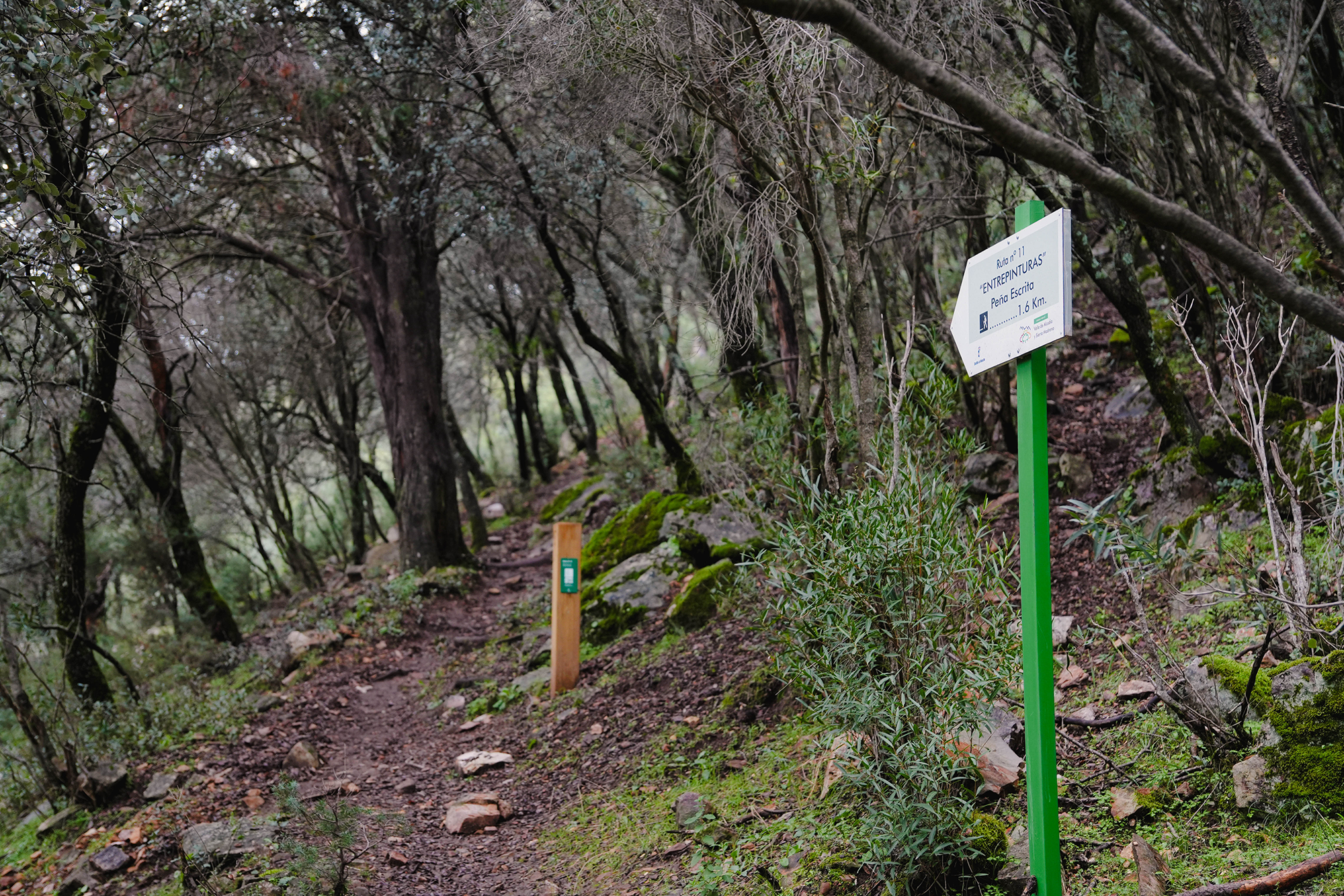 Fotografía de la Ruta Entrepinturas de Peña Escrita, Fuencaliente, Ciudad Real, capturada por Ikonox Marketing Digital.