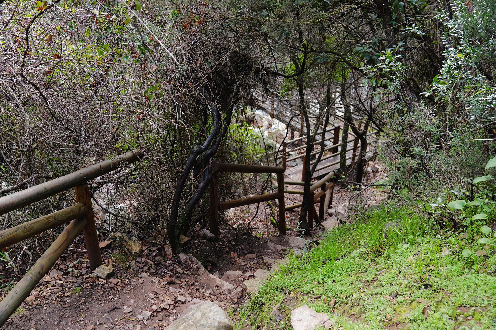 Fotografía del Yacimiento de La Batanera en Fuencaliente, Ciudad Real, capturada por Ikonox Marketing Digital.