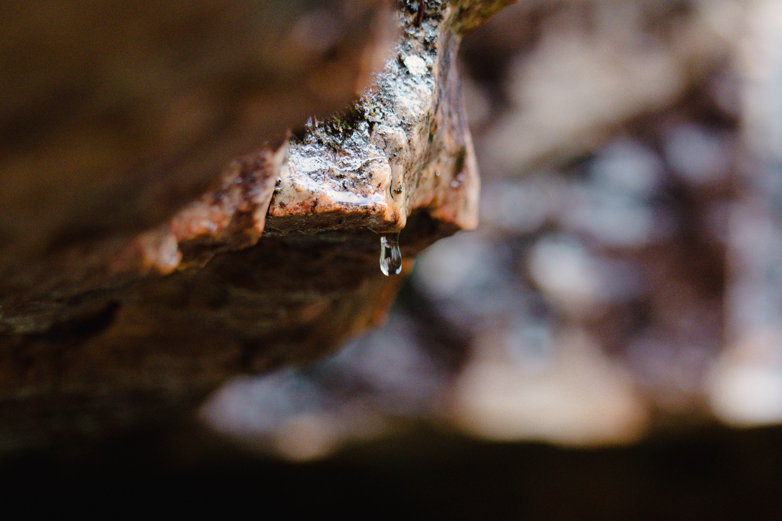 Fotografía de la naturaleza de Fuencaliente, Ciudad Real, capturada por Ikonox Marketing Digital.