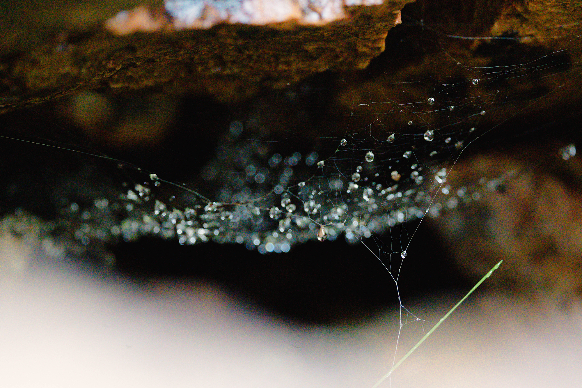 Paisaje natural de Fuencaliente, Ciudad Real, fotografiado por Ikonox Marketing Digital.