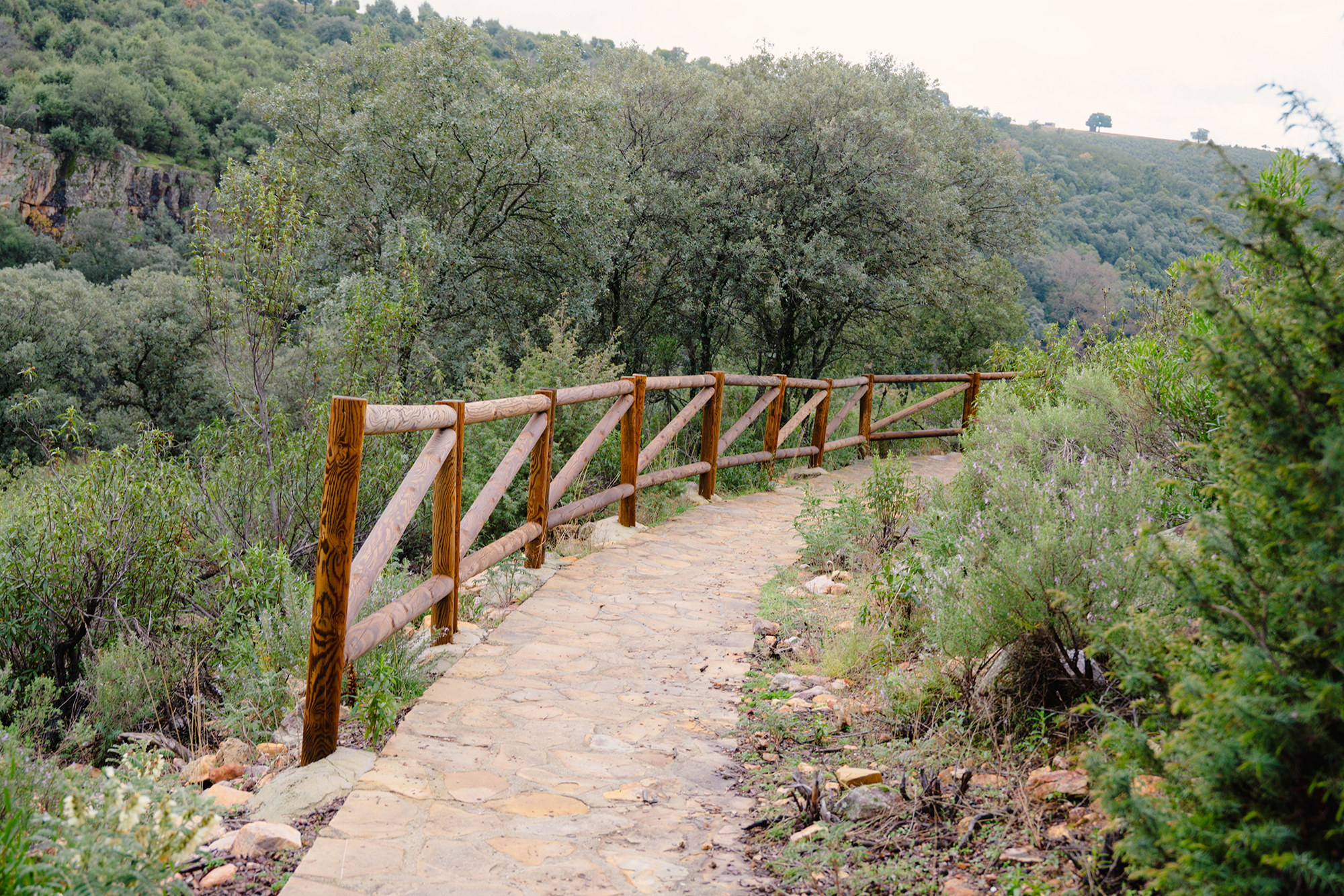 Fotografía de los Yacimientos de La Batanera, Fuencaliente, Ciudad Real, tomada por Ikonox Marketing Digital.
