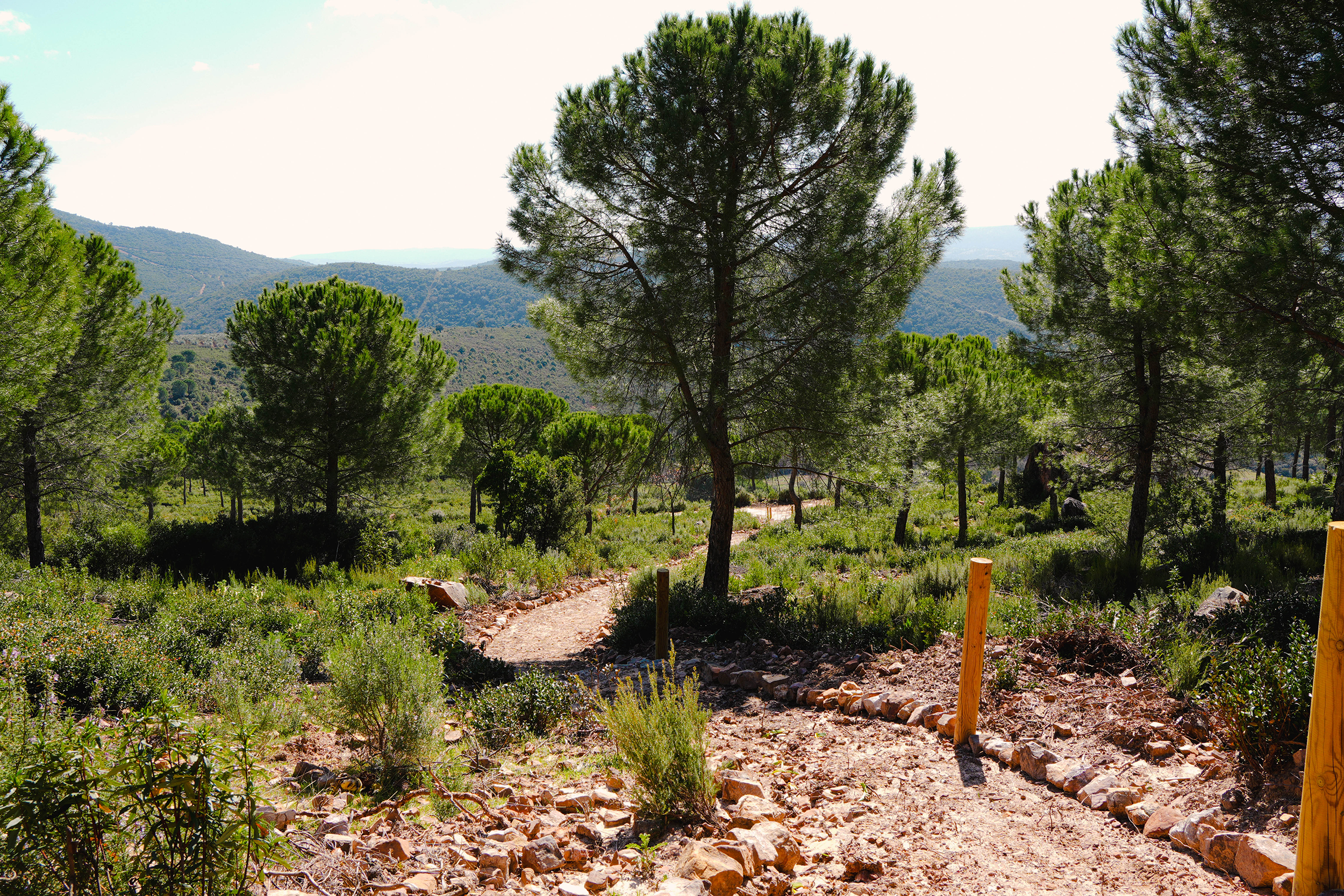 Imagen de otros yacimientos menores en el entorno de Fuencaliente, Ciudad Real, realizada por Ikonox Marketing Digital.