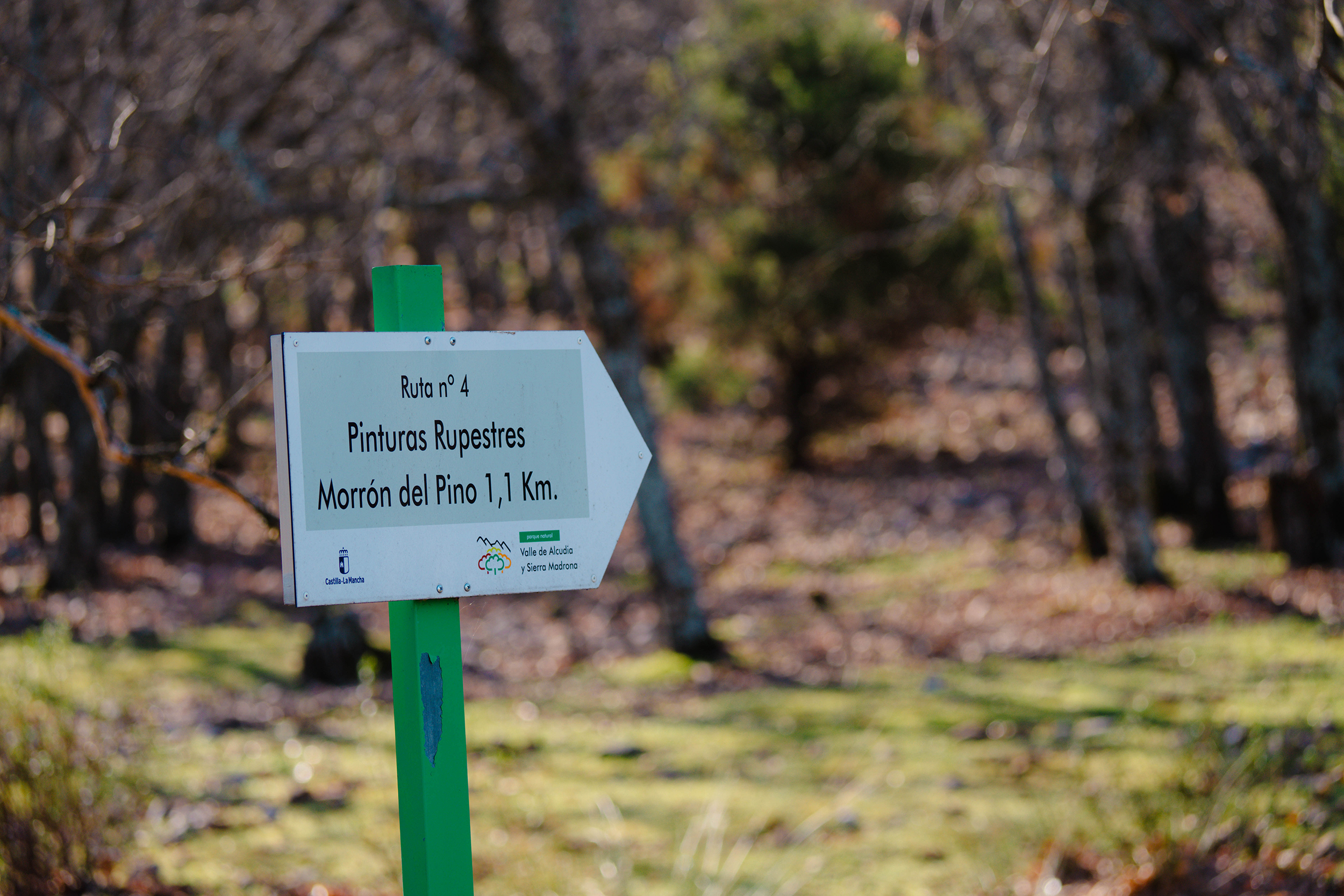 Plano general de la naturaleza de Fuencaliente, Ciudad Real, capturado por Ikonox Marketing Digital.
