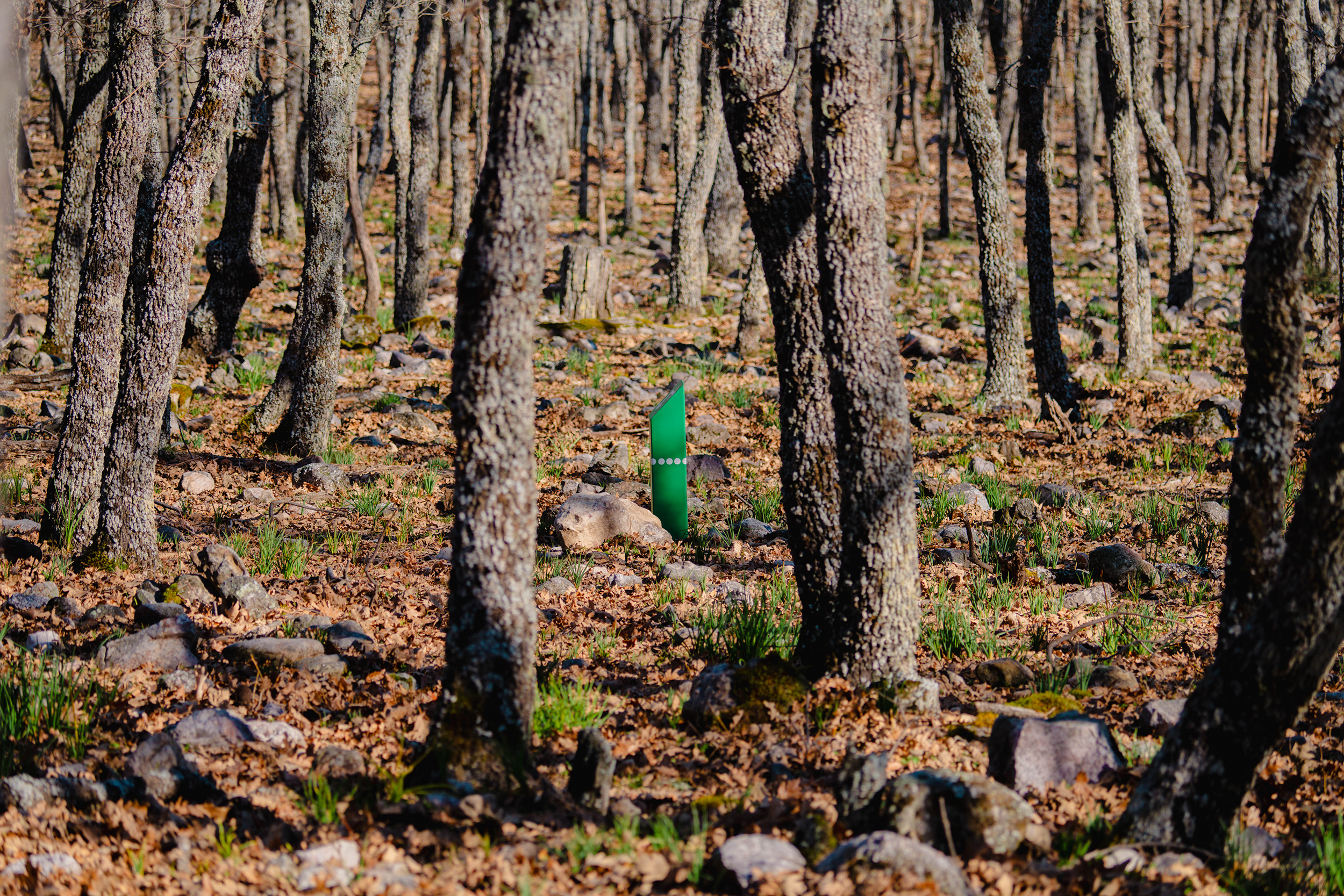 Plano general de la naturaleza de Fuencaliente, Ciudad Real, capturado por Ikonox Marketing Digital.