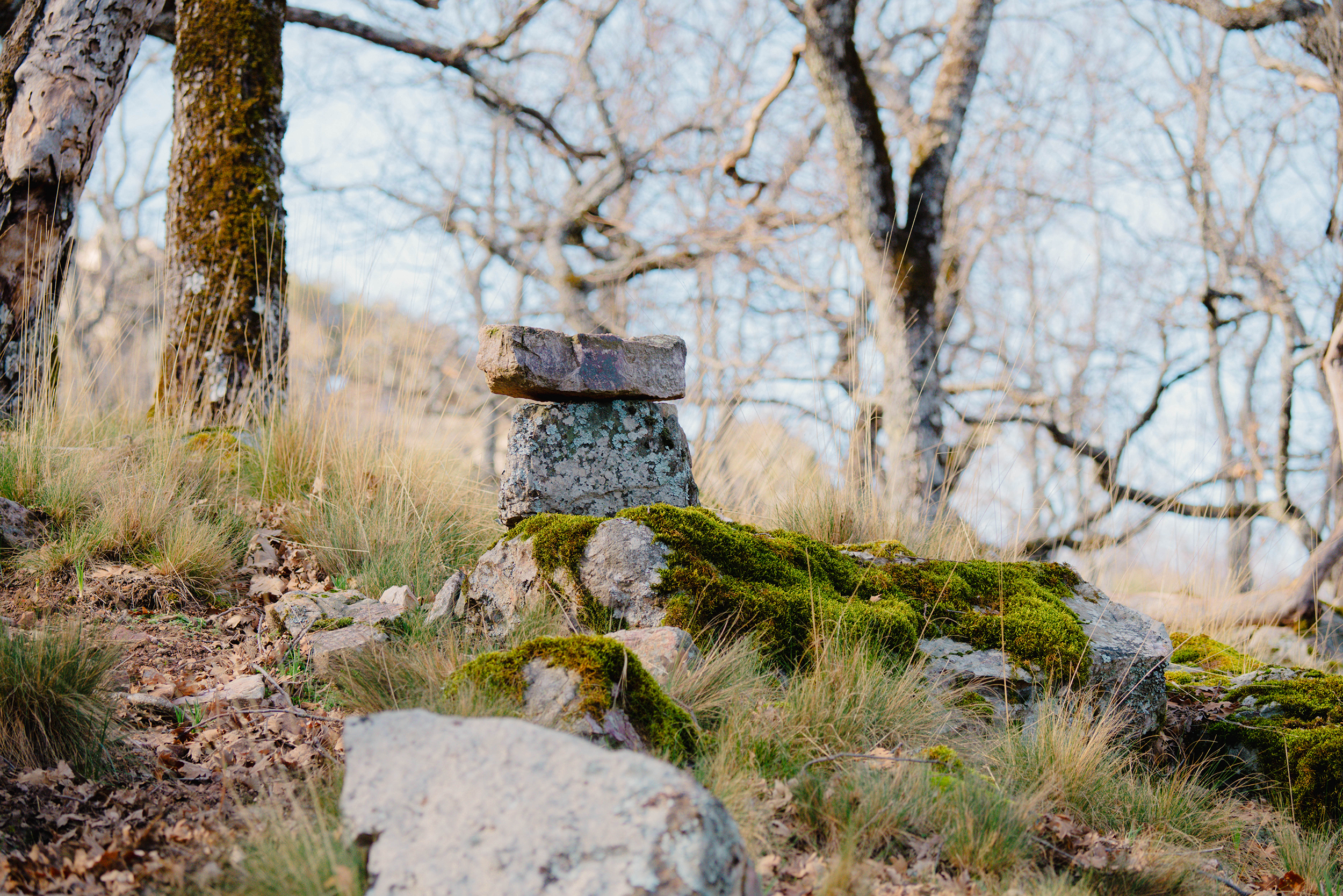 Plano general de la naturaleza de Fuencaliente, Ciudad Real, por Ikonox Marketing Digital.