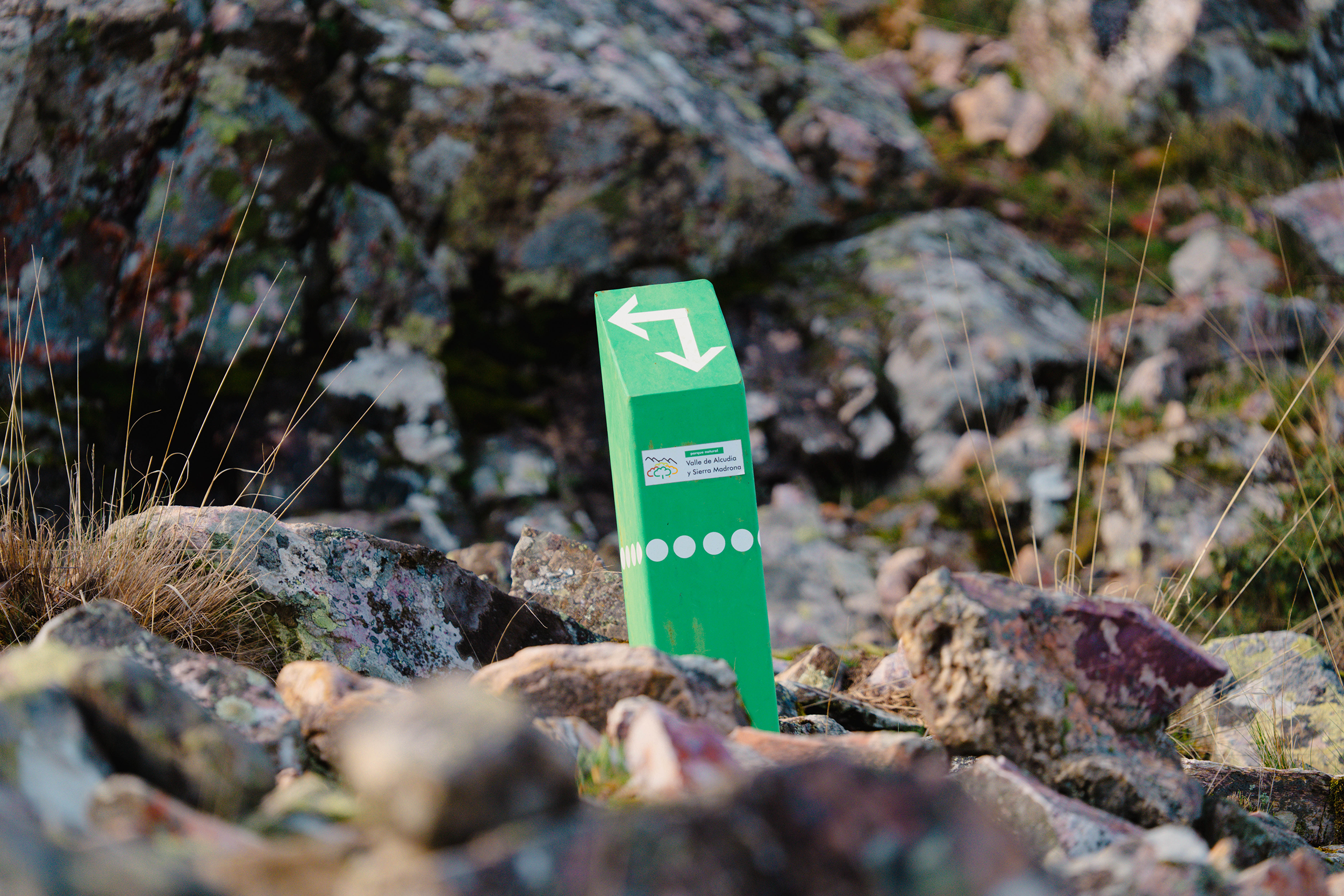 Plano general de la naturaleza de Fuencaliente. Fotografía capturada en Fuencaliente, Ciudad Real, por Ikonox Marketing Digital.