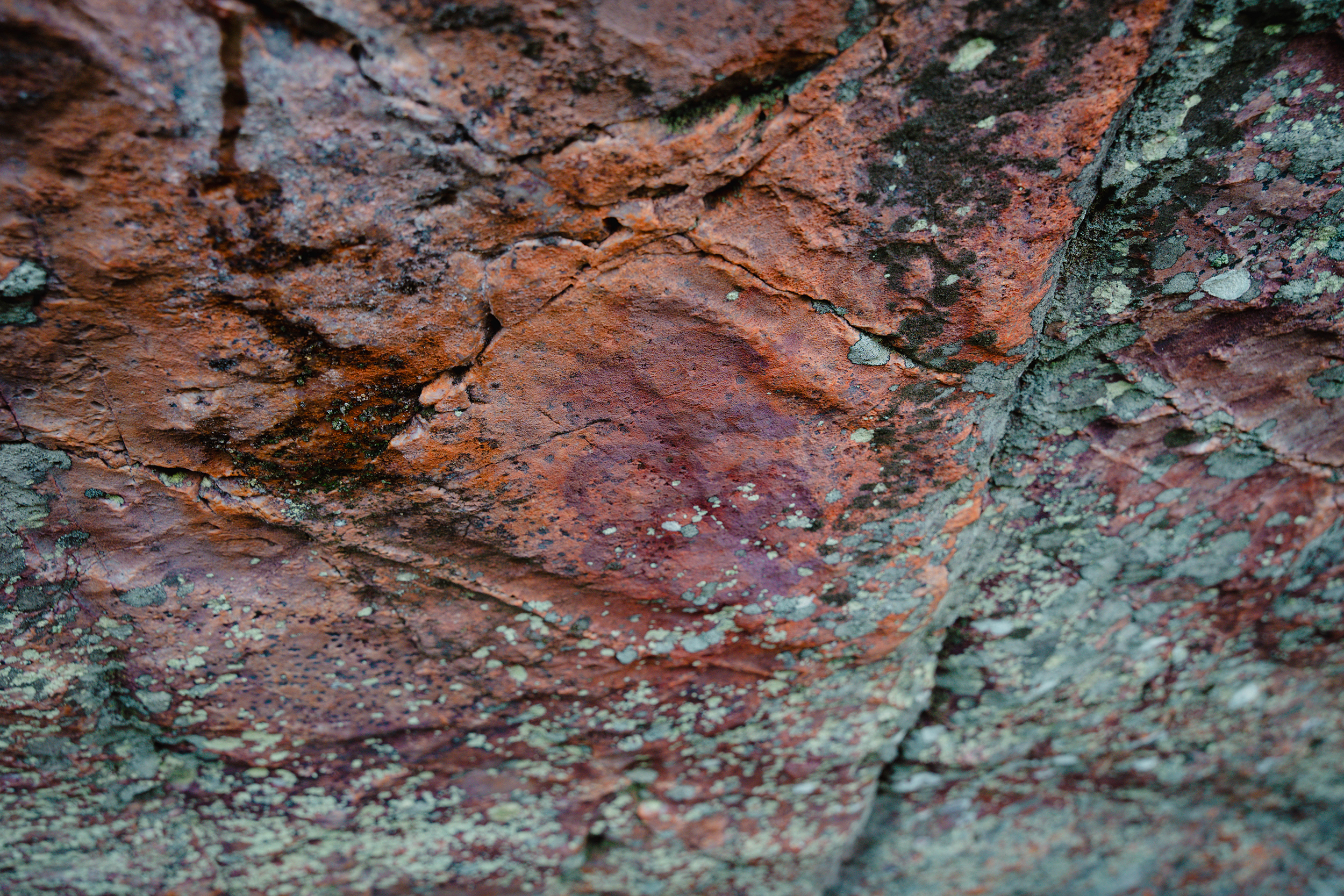 Fotografía de las pinturas rupestres de Fuencaliente, Ciudad Real, realizada por Ikonox Marketing Digital.