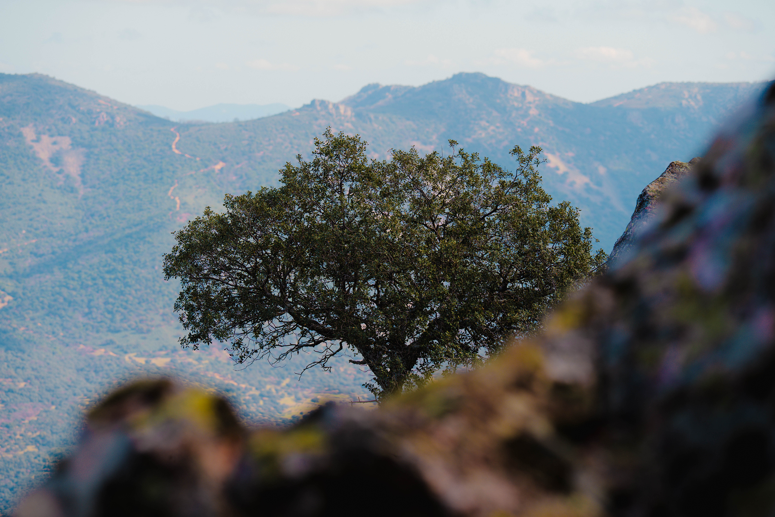 Imagen del patrimonio cultural o natural de Fuencaliente, Ciudad Real, realizada por Ikonox Marketing Digital.