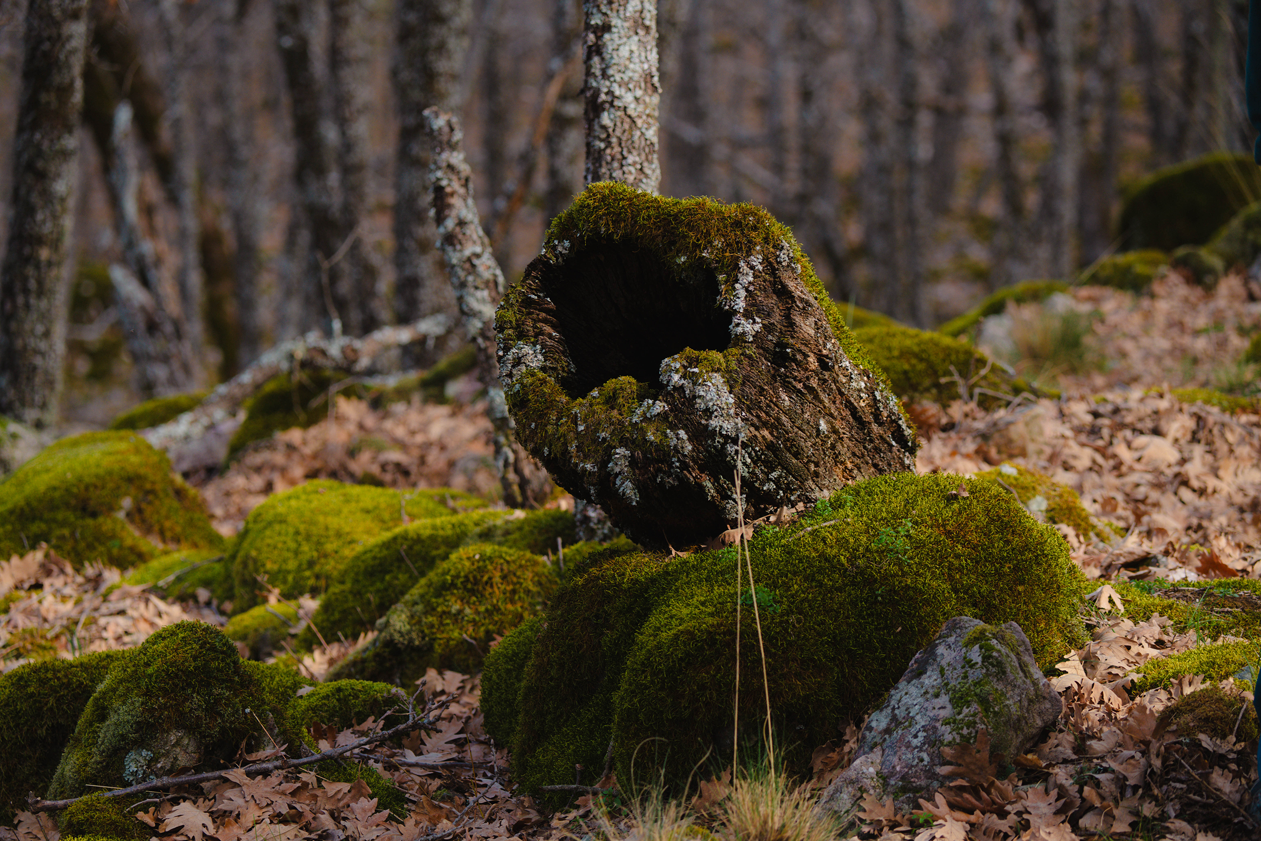 Fotografía de patrimonio histórico y natural de Fuencaliente realizada por Ikonox Marketing Digital.