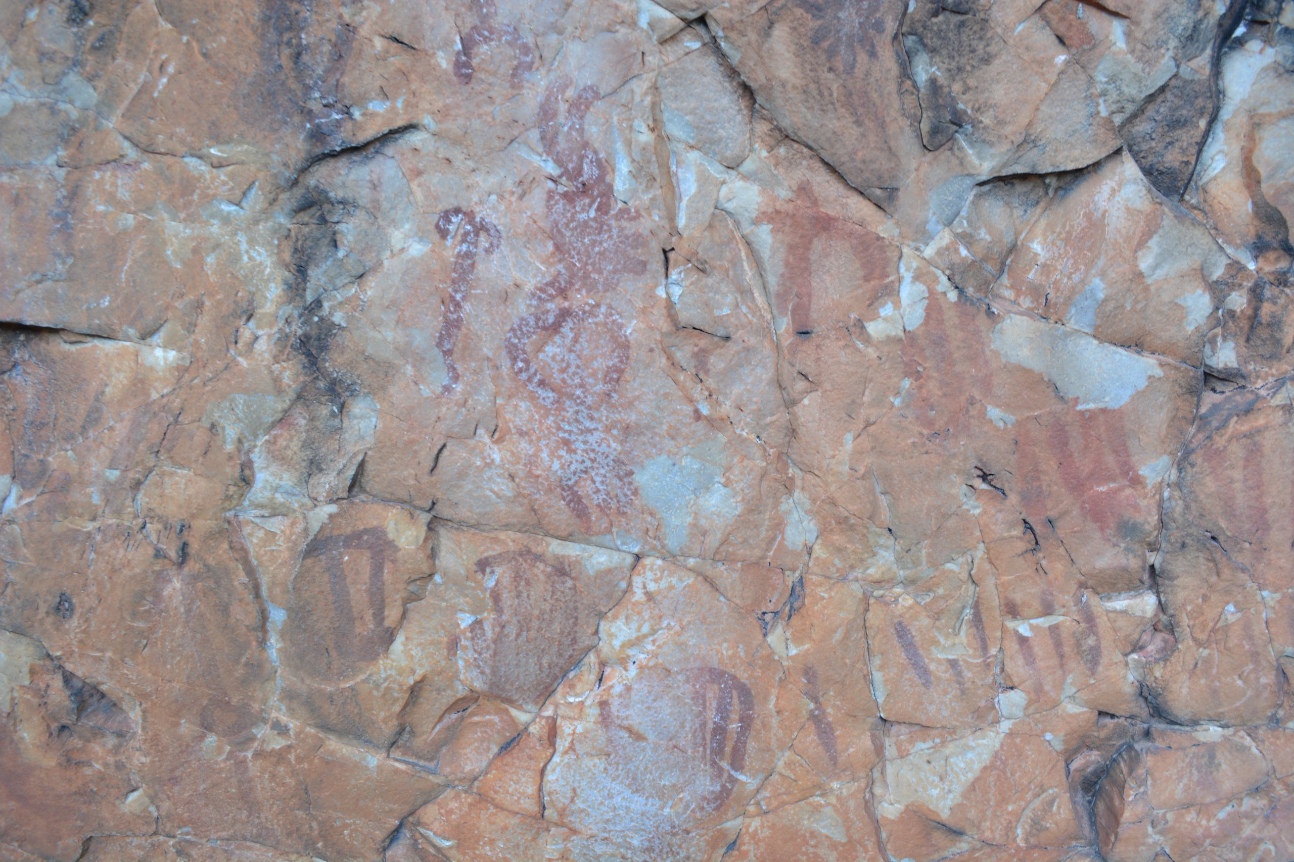 Detalle de pinturas rupestres en el abrigo de La Golondrina, Fuencaliente, con información de Francisco Javier López Fernández.