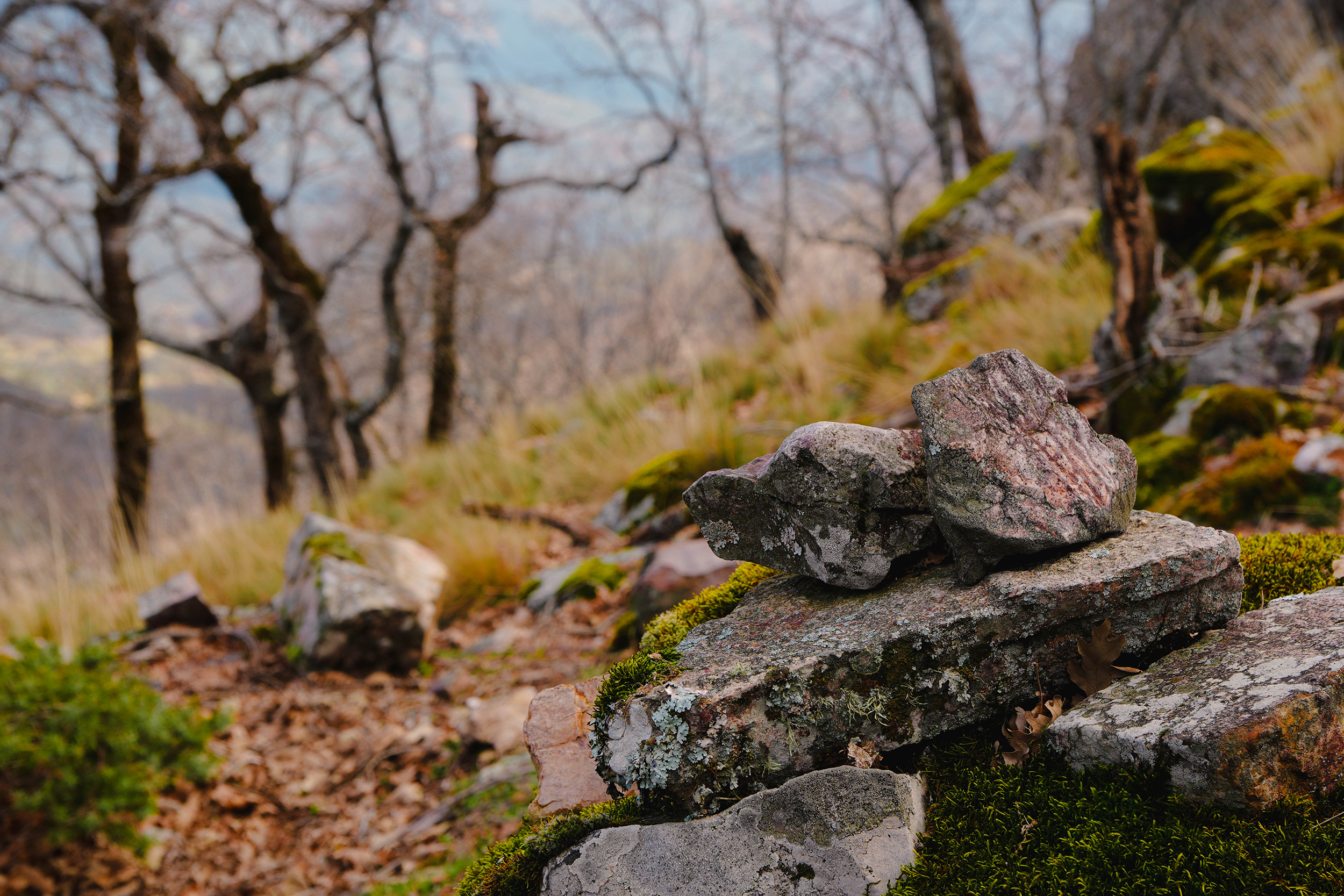 Plano grabado sobre piedra en el yacimiento del Morrón del Pino, Fuencaliente, fotografiado por Ikonox Marketing Digital.