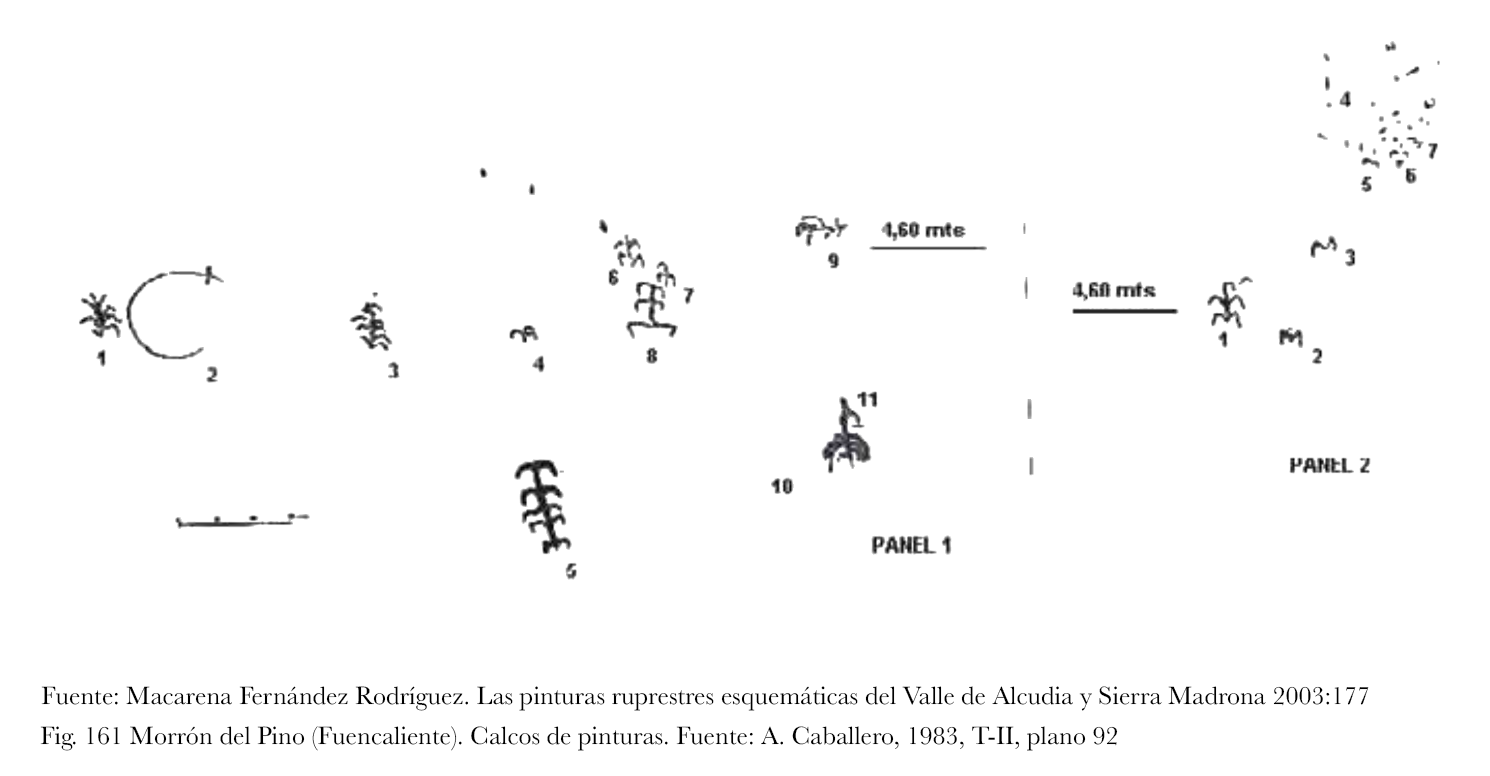 Calco Morrón del pino